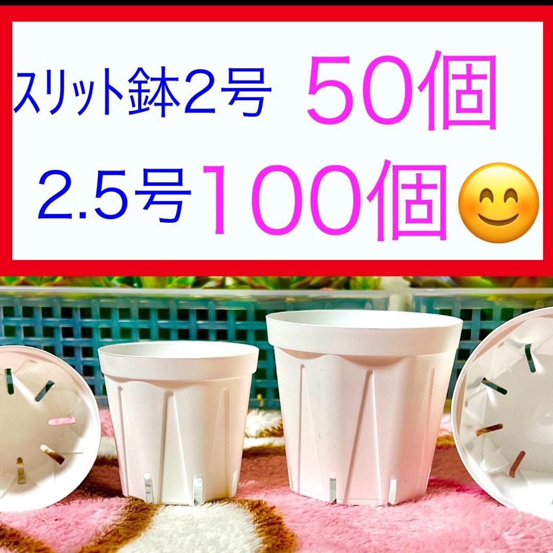 H②⑥  ｽﾘｯﾄ鉢お得セット★ﾎﾜｲﾄ【2号50個】【2.5号100個】 ハンドメイドのフラワー/ガーデン(プランター)の商品写真