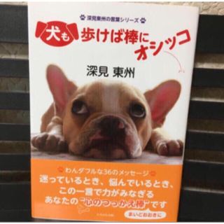 「犬も歩けば棒にオシッコ」  深見東州  (その他)