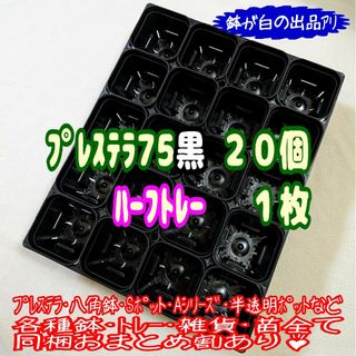 【スリット鉢】プレステラ75黒20個＋ハーフトレー1枚 プラ鉢 多肉植物(プランター)