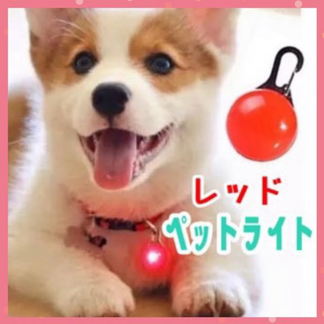 犬 ライト 首輪 リード ペット LED セーフティ ライト 散歩 レッド その他のペット用品(犬)の商品写真