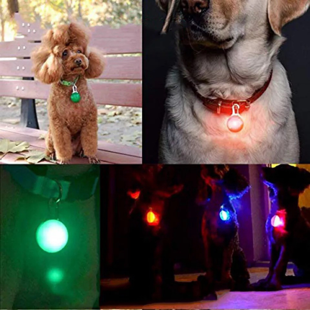 犬 ライト 首輪 リード ペット LED セーフティ ライト 散歩 レッド その他のペット用品(犬)の商品写真