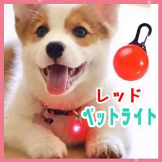 犬 ライト 首輪 リード ペット LED セーフティ ライト 散歩 レッド(犬)