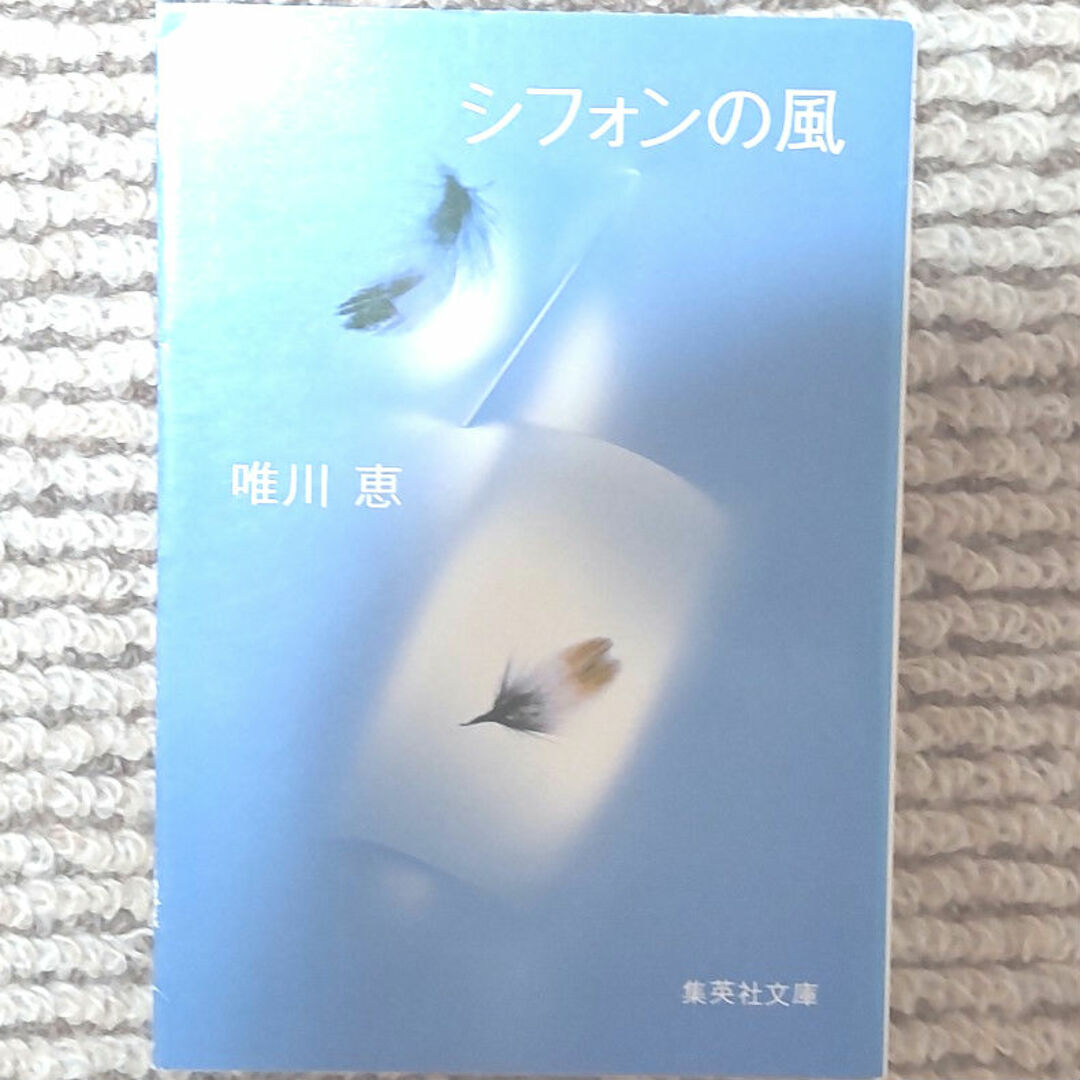 シフォンの風 エンタメ/ホビーの本(その他)の商品写真
