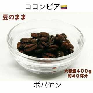 自家焙煎 コロンビア ポパヤン 400g - 香り高いアイスコーヒーに最適！(コーヒー)