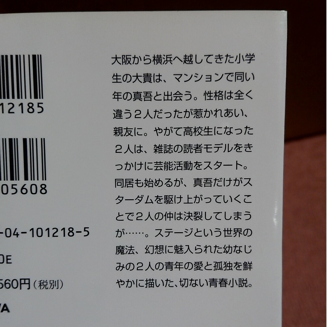 角川書店(カドカワショテン)のピンクとグレ－ エンタメ/ホビーの本(文学/小説)の商品写真