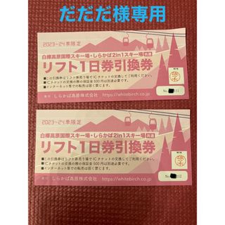 白樺高原国際スキー場　しらかば2in1スキー場　共通　リフト券　1日券　2枚(スキー場)