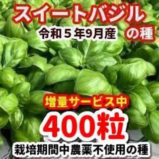 スイートバジル種【400粒】◾️農薬:栽培期間中不使用の種★増量サービス中(その他)