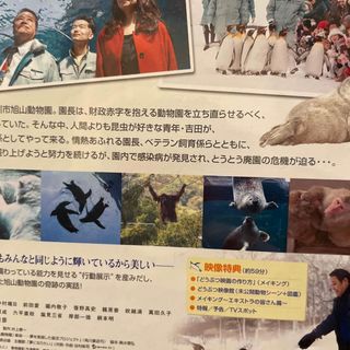 旭山動物園物語　ペンギンが空をとぶ　スペシャル・エディション DVD(日本映画)