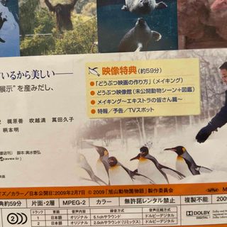 旭山動物園物語　ペンギンが空をとぶ　スペシャル・エディション DVD(日本映画)