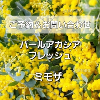 初雪草・りんどう・紫陽花・ミモザのドライフラワーリース紫陽花