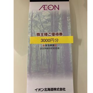 イオン北海道　株主優待券　3000円分　優待(ショッピング)