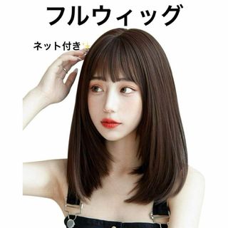 フルウィッグ　ロング　ネット付き　ブラウン　イメチェン　医療　変装　仮装(ロングストレート)