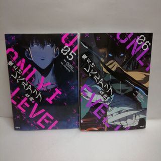 俺だけレベルアップな件　05 & 06(青年漫画)