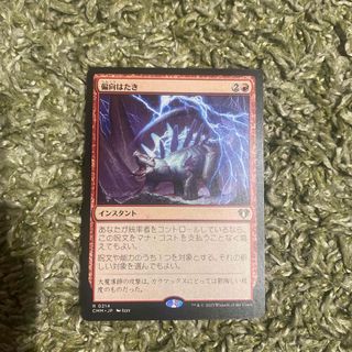 マジック：ザ・ギャザリング - MTG 自然の秩序 ビジョンズ 日本語版の