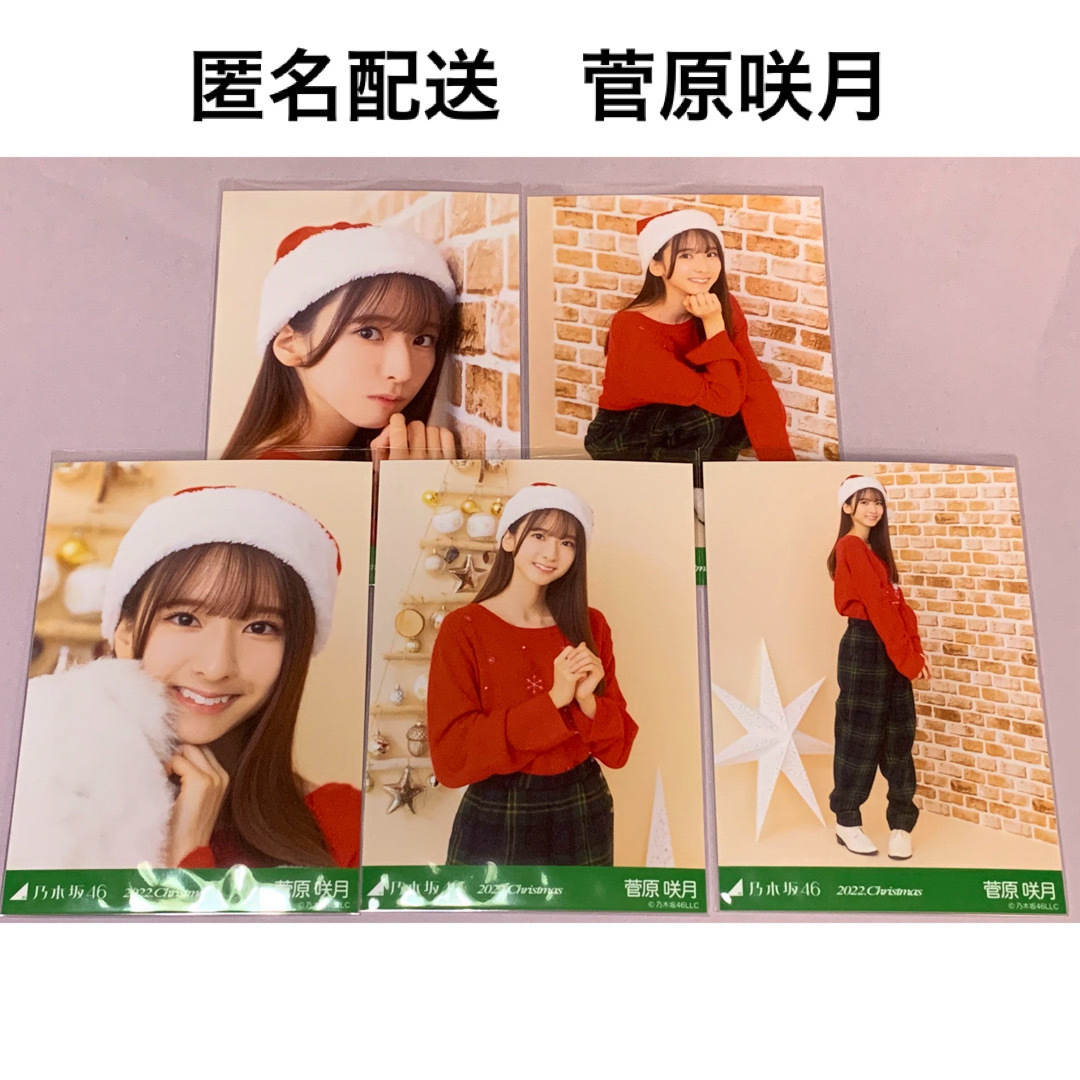 乃木坂46(ノギザカフォーティーシックス)の菅原咲月　2022. クリスマス 井上和　バレンタイン　個別生写真 乃木坂46 エンタメ/ホビーのタレントグッズ(アイドルグッズ)の商品写真