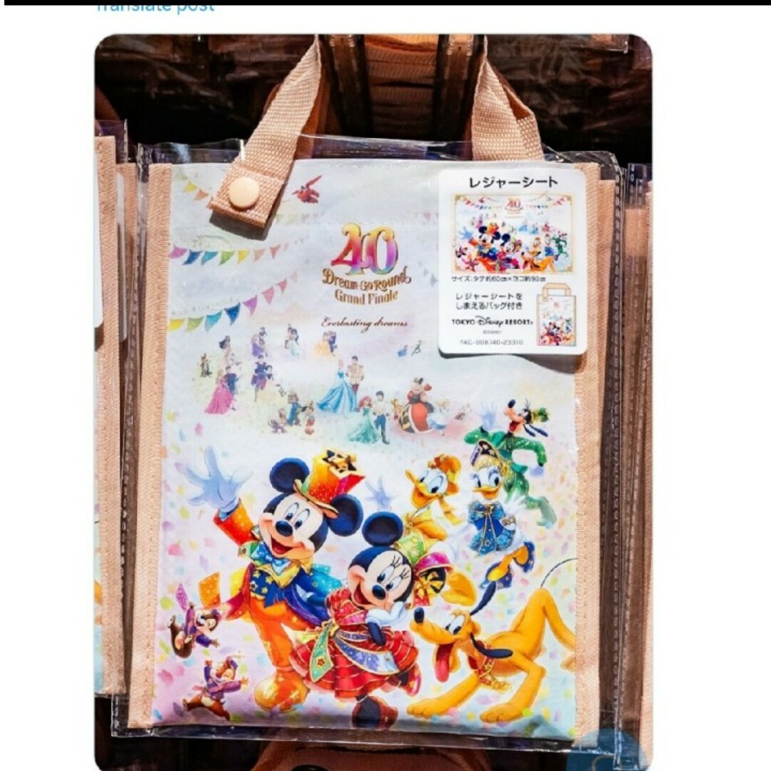 Disney(ディズニー)の★DISNEY RESORT 新品 レジャーシート 40周年 エンタメ/ホビーのおもちゃ/ぬいぐるみ(キャラクターグッズ)の商品写真