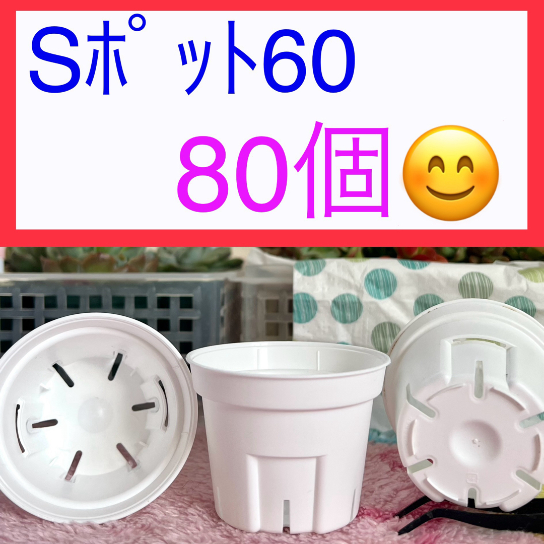 B⑤  ★Sポット丸型★　白60ｻｲｽﾞ80個ｾｯﾄ♪