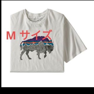 パタゴニア(patagonia)のパタゴニア　バックフォーグッドtシャツ(Tシャツ/カットソー(半袖/袖なし))