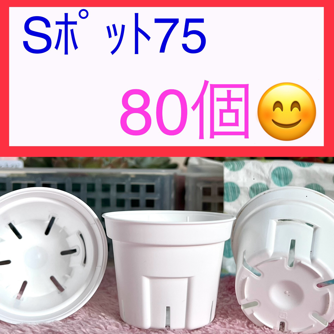 B①④  ★Sポット丸型★　白75ｻｲｽﾞ80個ｾｯﾄ♪ ハンドメイドのフラワー/ガーデン(プランター)の商品写真