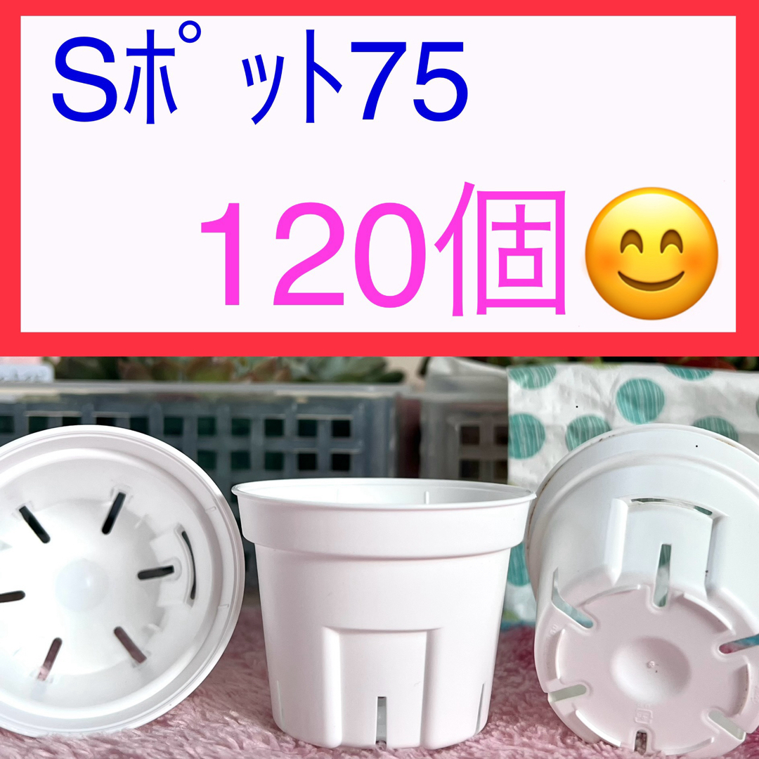 B①⑥  【Sポット75ｻｲｽﾞ】120個ｾｯﾄ♪ ハンドメイドのフラワー/ガーデン(プランター)の商品写真