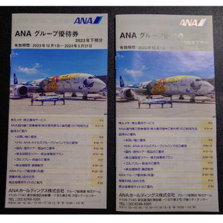 エーエヌエー(ゼンニッポンクウユ)(ANA(全日本空輸))のANA グループ優待 冊子 2冊セット(その他)