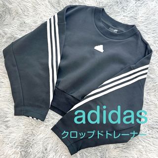 アディダス(adidas)のadidas / クロップドトレーナー(トレーナー/スウェット)