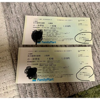 名古屋水旅館　小中学用チケット2枚　期限2024/6まで(水族館)