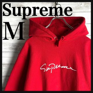 シュプリーム(Supreme)の8437【希少カラー】シュプリーム☆刺繍ロゴ肉厚人気デザインパーカー　美品(パーカー)