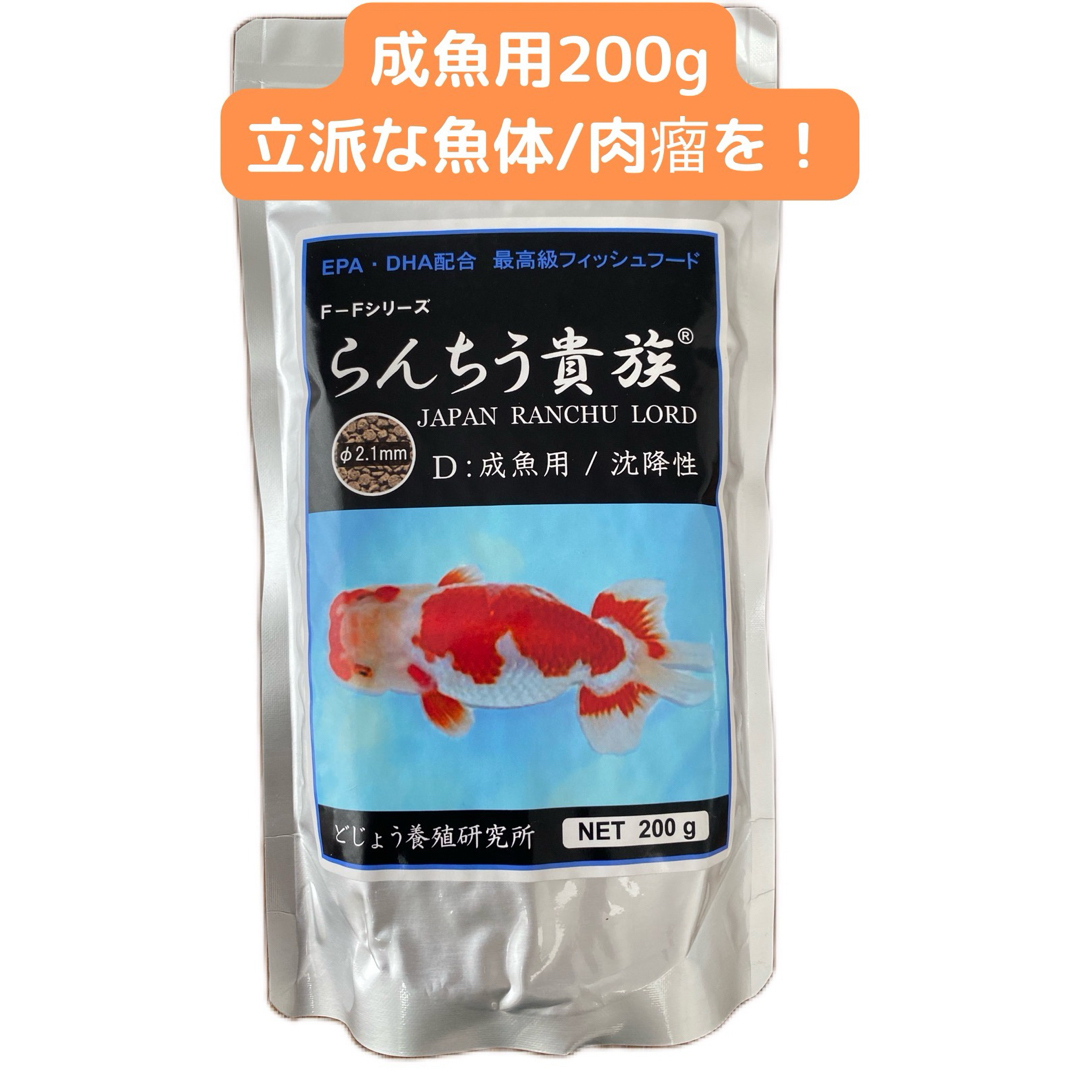 らんちう貴族　D　成魚用200g その他のペット用品(アクアリウム)の商品写真