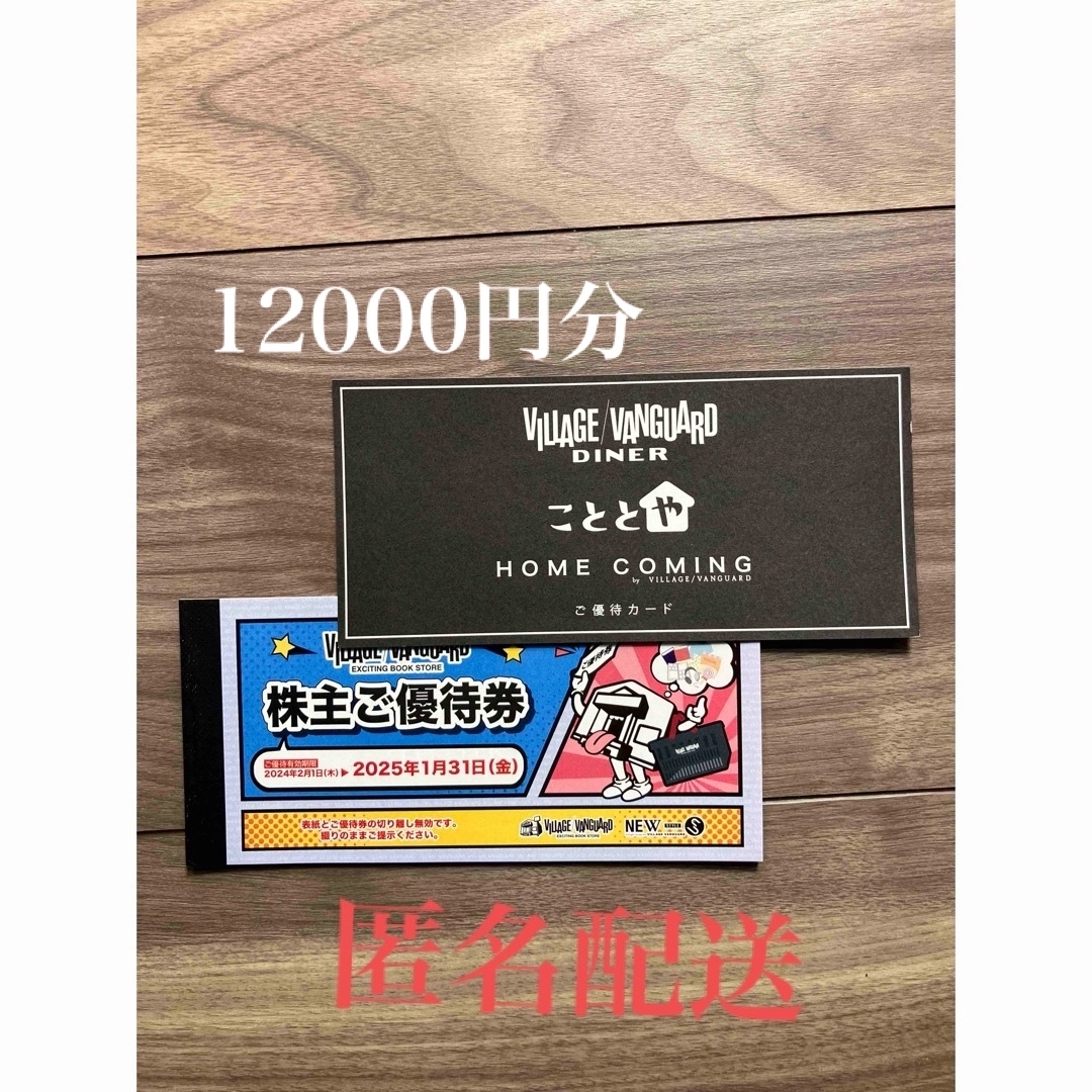 ご利用期限ヴィレッジヴァンガード 株主優待 12000円分 期限2024/1/31