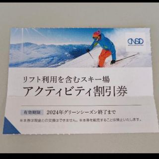 日本駐車場開発　株主優待　アクティビティ割引券　1枚(スキー場)