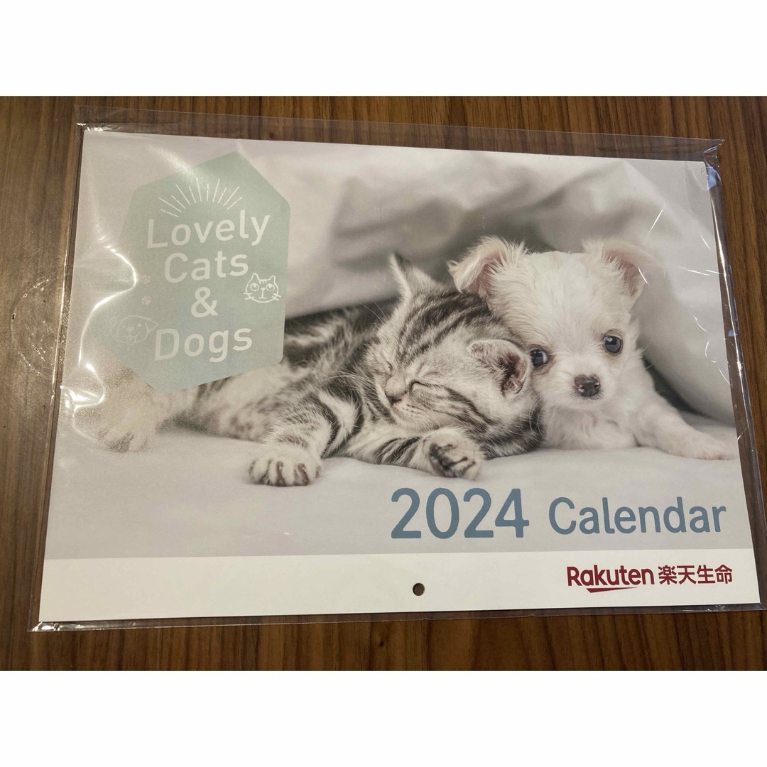 2024 カレンダー インテリア/住まい/日用品の文房具(カレンダー/スケジュール)の商品写真