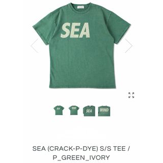 ウィンダンシー(WIND AND SEA)のWIND AND SEA    CRACK-P-DYE S/S TEE(Tシャツ/カットソー(半袖/袖なし))