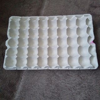 紙製 卵トレー 卵パック 昆虫飼育 卵紙パック 40穴 ６枚(爬虫類/両生類用品)