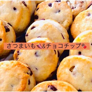 発酵菓子　生クリームスコーン　さつまいもチョコチップ(菓子/デザート)