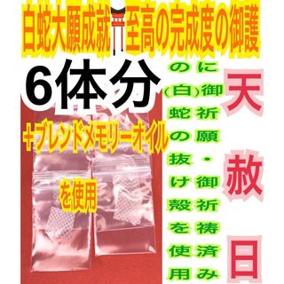 6枚分✨臨時収入✨金運✨財運✨蛇の抜け殻✨白蛇のお守り【天赦日ご祈祷済み】AB(財布)