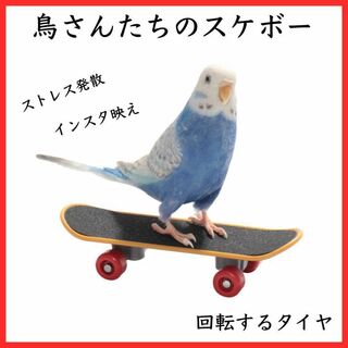 ミニ　スケボー　鳥　インコ　玩具　指スケ　トイ　バード　小鳥(鳥)