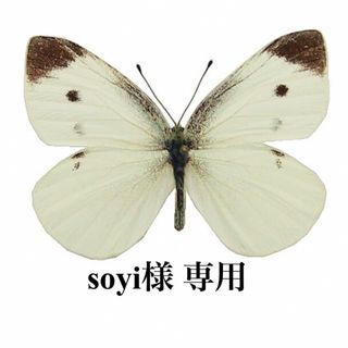 soyi様　専用(その他)