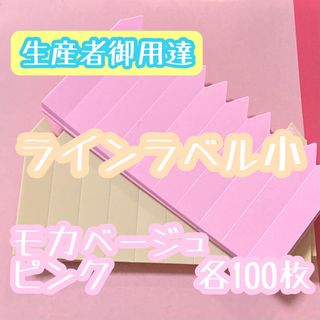 ラインラベル 小 桃＆茶 各100枚 園芸カラーラベル 多肉植物 エケベリア (プランター)