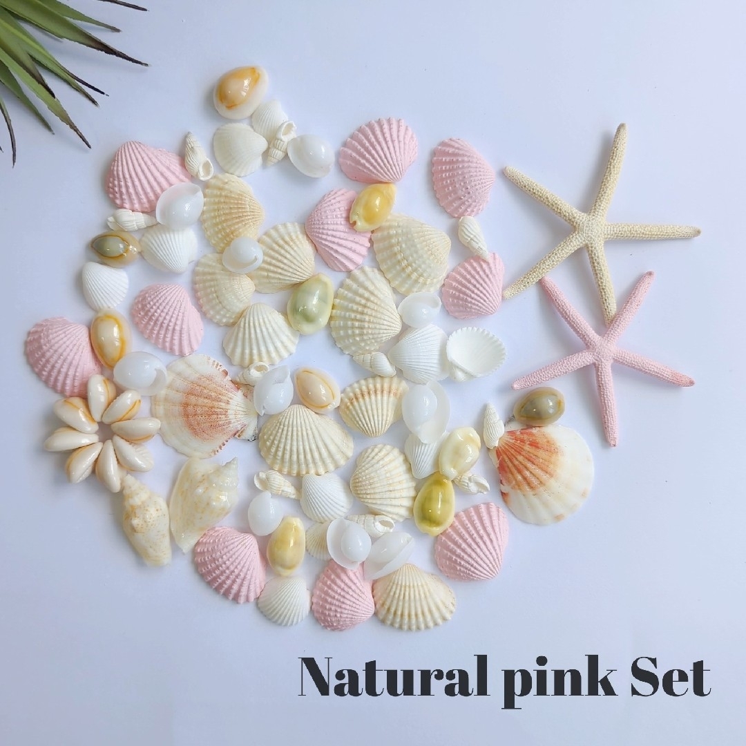 シェルパーツ　ピンク　貝殻セット　ハンドメイド　海　貝がら　素材　パステルカラー ハンドメイドの素材/材料(各種パーツ)の商品写真