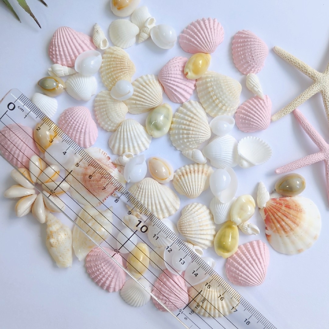 シェルパーツ　ピンク　貝殻セット　ハンドメイド　海　貝がら　素材　パステルカラー ハンドメイドの素材/材料(各種パーツ)の商品写真