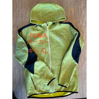 プーマ(PUMA)のパーカー　ジップタイプ　PUMA  L(ジャケット/上着)