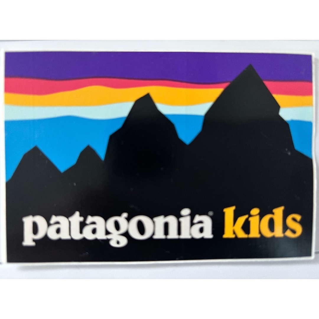 patagonia(パタゴニア)のPatagonia パタゴニア シンチラ スナップT 🇺🇸プレゼント付き メンズのジャケット/アウター(ブルゾン)の商品写真