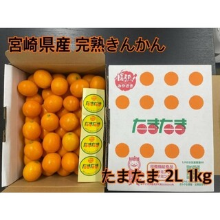 たまたま　完熟きんかん　宮崎県産　2Ｌサイズ　1kg　専用箱(フルーツ)