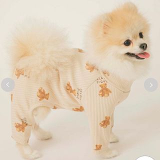 ジェラートピケ(gelato pique)のジェラートピケ　 gelato pique 犬　服 タグ付き新品(犬)