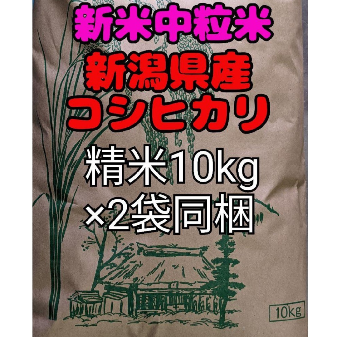 食品/飲料/酒【即購入OK】新潟県長岡産新米コシヒカリ中粒米10キロ精米×2袋同梱
