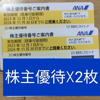 エーエヌエー(ゼンニッポンクウユ)(ANA(全日本空輸))のANA 株主優待券 2枚 有効期限 2024年11月30日(その他)