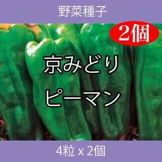 野菜種子 TVK11 京みどりピーマン 4粒 x 2個(野菜)