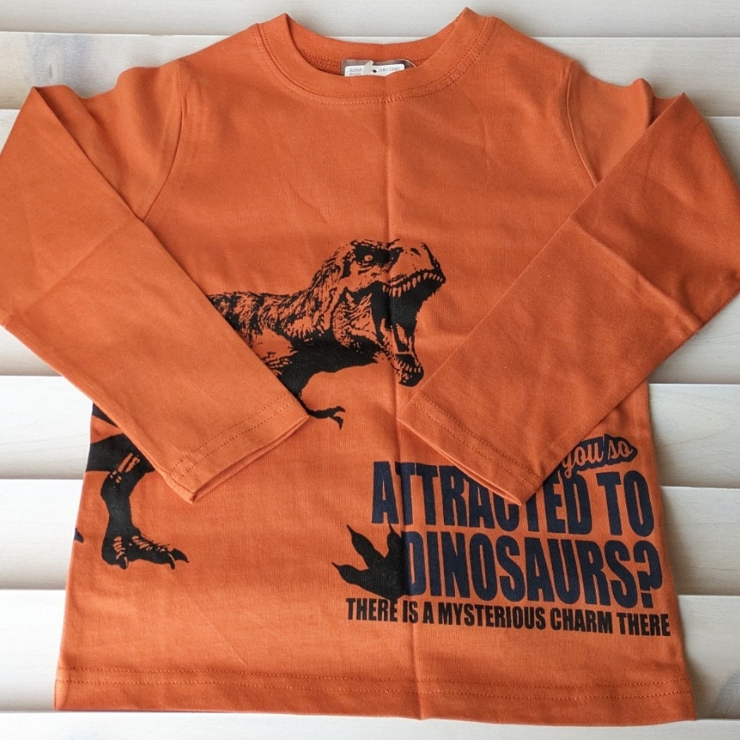 しまむら(シマムラ)の恐竜 110サイズ キッズ/ベビー/マタニティのキッズ服男の子用(90cm~)(Tシャツ/カットソー)の商品写真