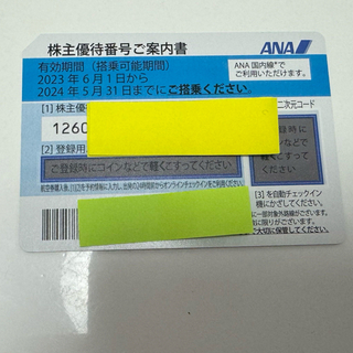 ANA株主優待券全日空1枚　2024.5.31まで有効　送料無料(その他)